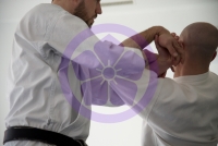 Reprise des cours de Kokodo